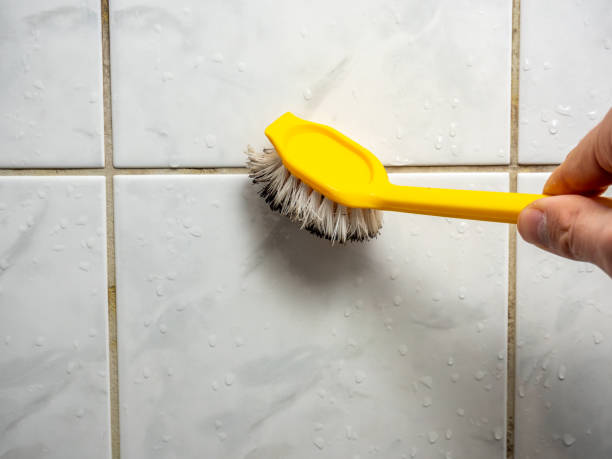 Best Mold Remediation  in Anahuac, TX