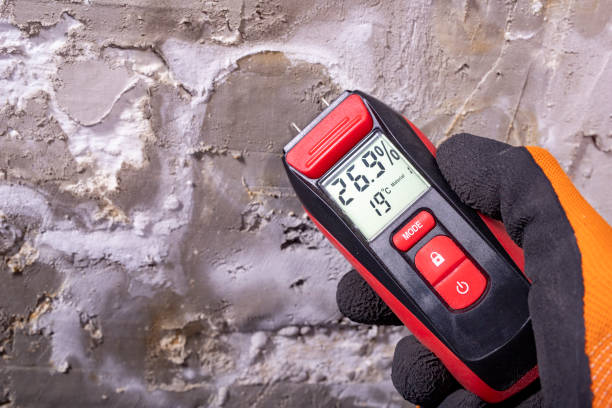 Best Best Mold Removal Companies  in Anahuac, TX