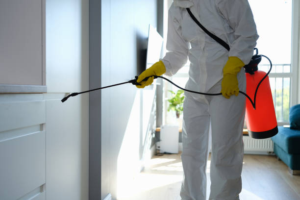 Best Black Mold Removal  in Anahuac, TX
