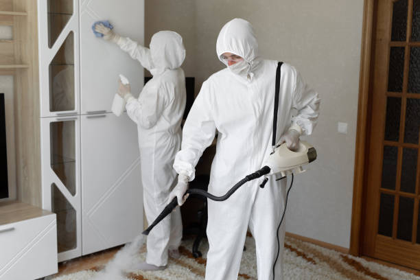 Best Professional Mold Removal  in Anahuac, TX
