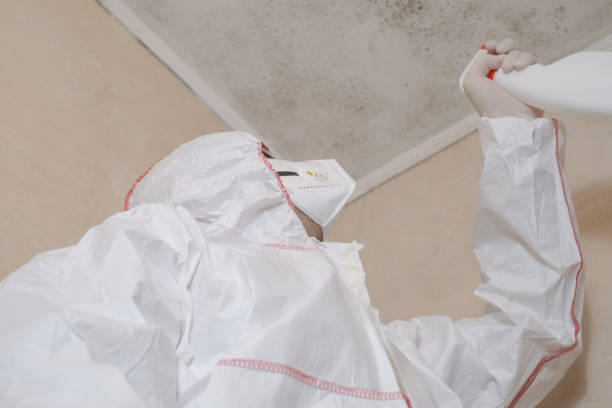 Anahuac, TX Mold Removal Company