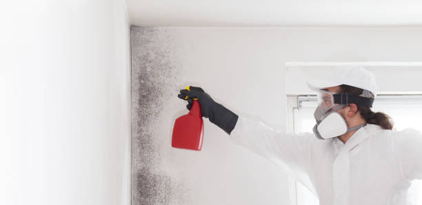 Best Local Mold Removal Service  in Anahuac, TX