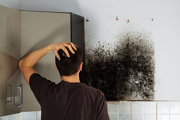 Best Residential Mold Removal  in Anahuac, TX